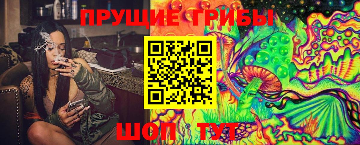 Псилоцибиновые грибы Cubensis Кудымкар