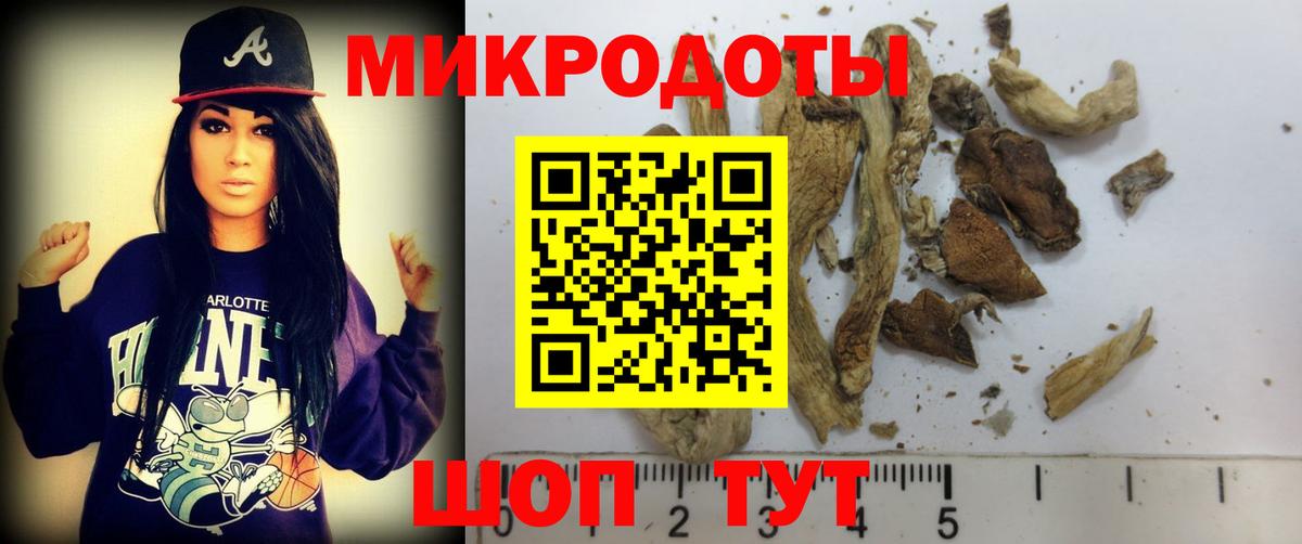 Кудымкар  Псилоцибиновые грибы Cubensis  Вход с VPN 